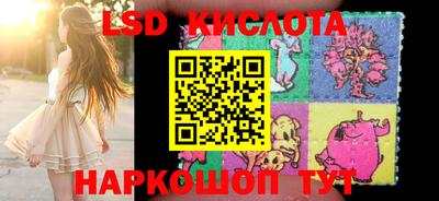 прущие грибы Новодвинск