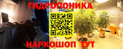 герыч Новокубанск