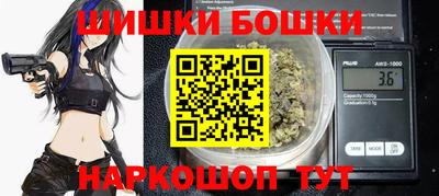 прущие грибы Новодвинск
