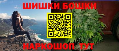 прущие грибы Новодвинск