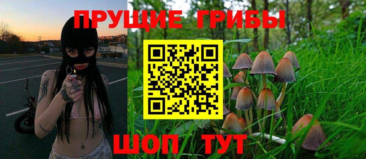 Галлюциногенные грибы мухоморы Прохладный