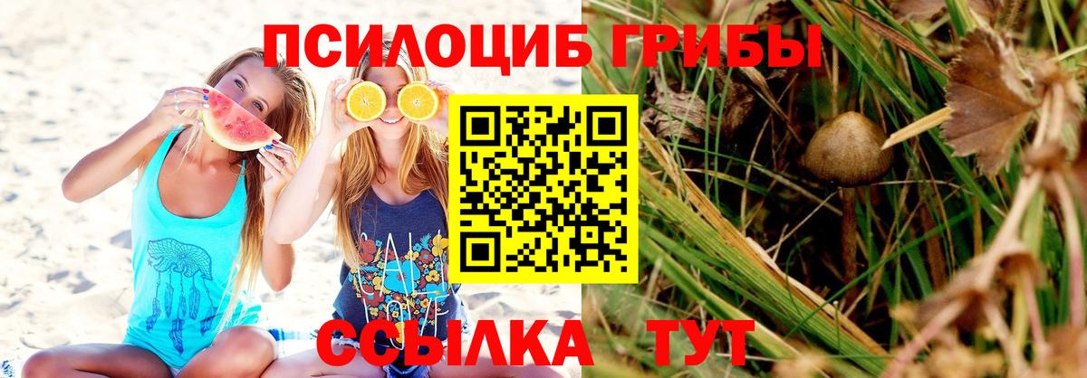 Галлюциногенные грибы GOLDEN TEACHER  даркнет сайт  Прохладный  Вход с VPN 